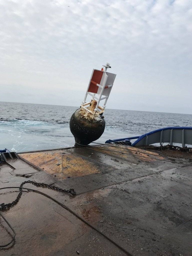 Navigational buoy with a red and white daymark, a light on top and a heavily fouled hull coming up over the stern of a work vessel onto a wet steel deck